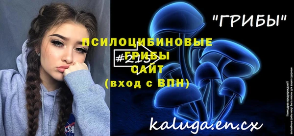экстази Алексин