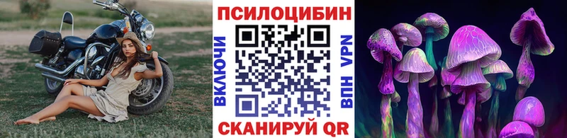 Псилоцибиновые грибы мухоморы Куровское